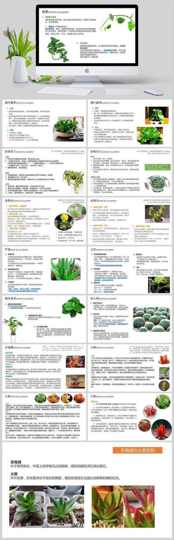 花草养护知识大全 - 各种绿植的养护方法
