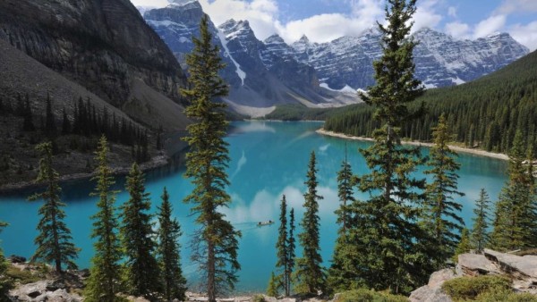 班夫的隐秘宝藏 班夫国家公园的莫兰湖(Moraine Lake)景色迷人,雪山和碧绿的湖水被松树环绕。