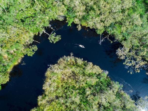 The noosa everglades are one of only two everglade systems in the world image tourism and events queensland