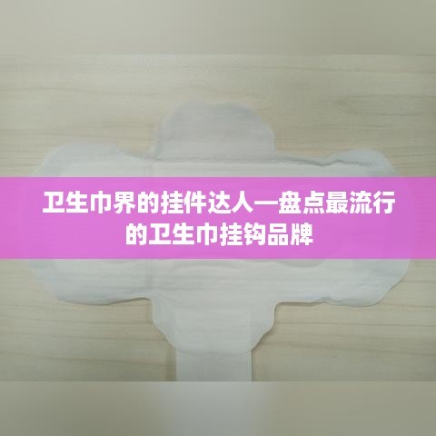 卫生巾界的挂件达人—盘点最流行的卫生巾挂钩品牌
