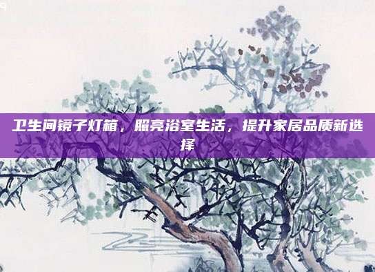 卫生间镜子灯箱,照亮浴室生活,提升家居品质新选择