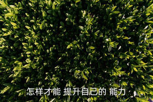 怎样才能 提升自己的 能力