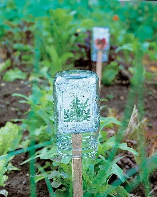 家里的旧物改造成植物标签，捡来的木棍和石头都用上了