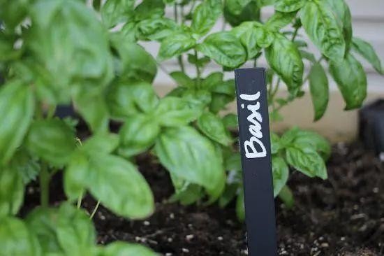 家里的旧物改造成植物标签，捡来的木棍和石头都用上了