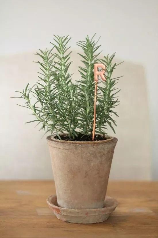 家里的旧物改造成植物标签，捡来的木棍和石头都用上了