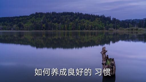 如何养成良好的 习惯