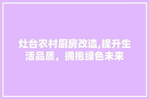 灶台农村厨房改造,提升生活品质，拥抱绿色未来