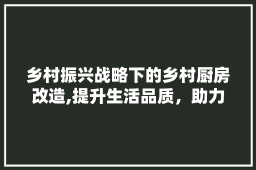 乡村振兴战略下的乡村厨房改造,提升生活品质，助力绿色发展