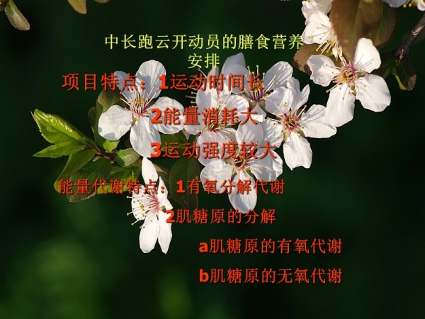 中长跑运动员的膳食营养安排.ppt_第2页