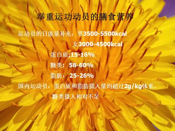 中长跑运动员的膳食营养安排.ppt_第5页
