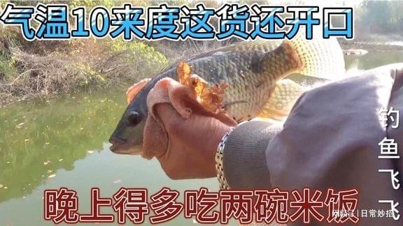 气温仅有10来度，没想到巴非还启齿，幸好开了个抄网！