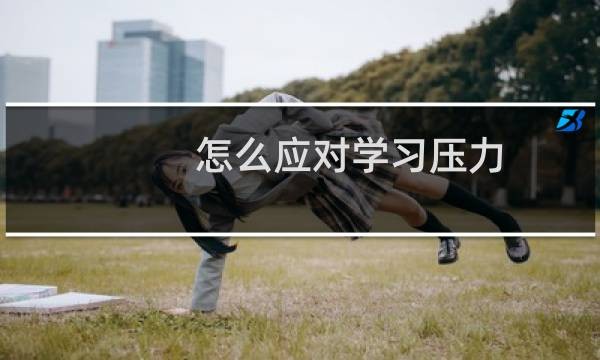 怎么应对学习压力
