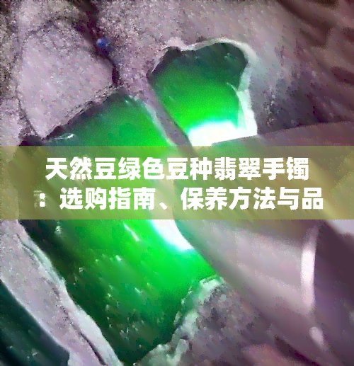 天然豆绿色豆种翡翠手镯：选购指南、保养方法与品质鉴别