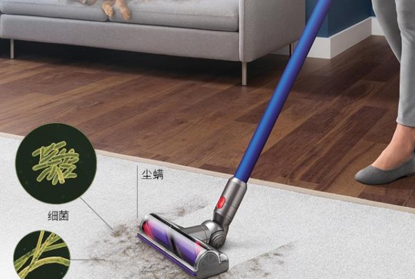 家用吸尘器哪个牌子好？吸尘器十大品牌推荐-有驾