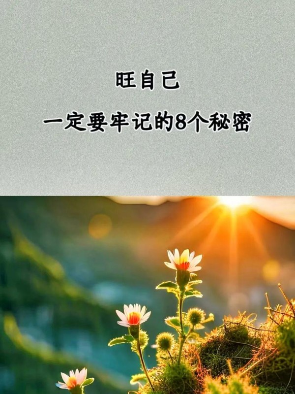 如何用感悟工作生活的句子提升生活质量？