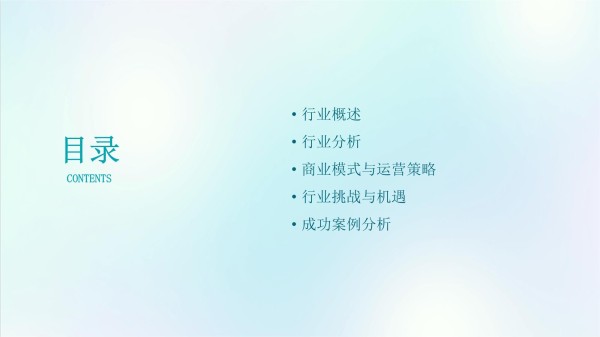 旧衣改制店行业分析_第2页