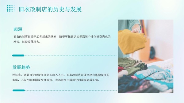 旧衣改制店行业分析_第5页