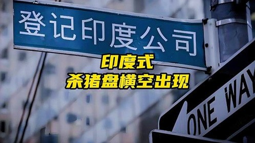 印度式杀猪盘横空出现