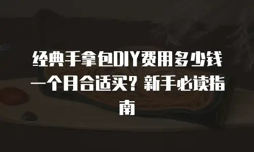经典手拿包DIY费用多少钱一个月合适买？新手必读指南