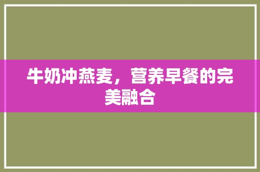 牛奶冲燕麦，营养早餐的完美融合