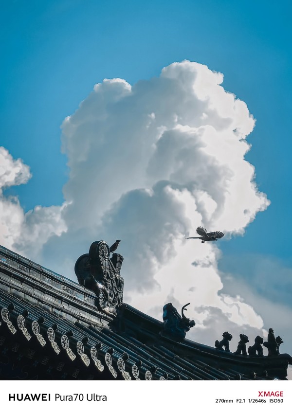 光影交错：旅行中的每一拍，都是对生活的深刻感悟