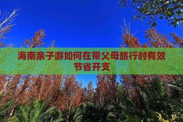 海南亲子游如何在带父母旅行时有效节省开支