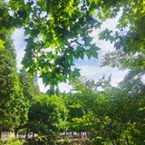 赫拉儿