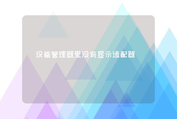 设备管理器里没有显示适配器,第1张