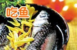 下奶吃什么
