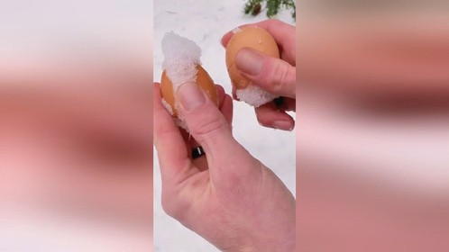 说说你们最喜欢鸡蛋的什么做法(1)