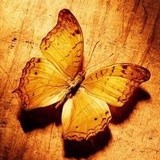 衣香满径