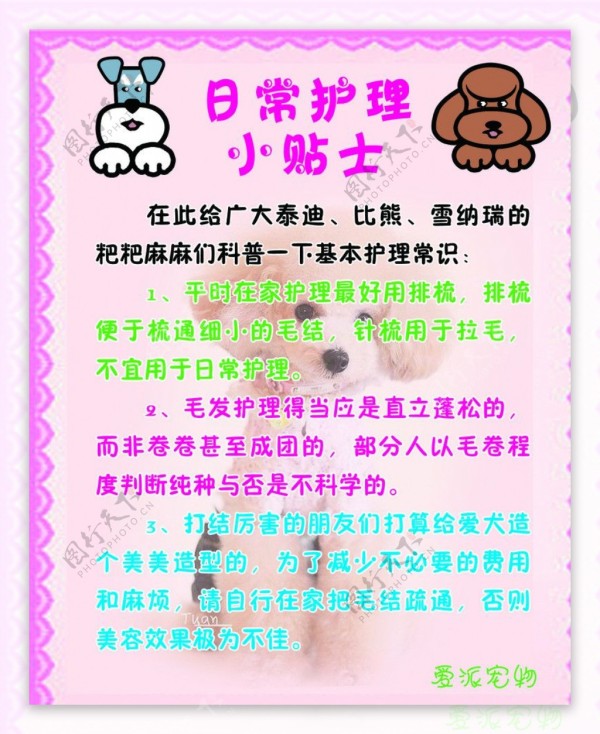 宠物护理小贴士图片