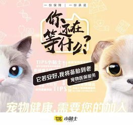 “宠物小贴士:早知早安心,养宠无忧行”