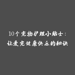10个宠物护理小贴士：让爱宠健康快乐的秘诀