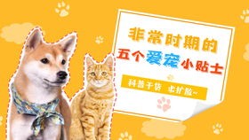 宠物生活小贴士集散地