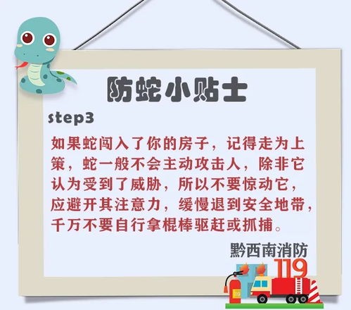 “蛇咬意外,宠物护理小贴士,安全养宠记!”