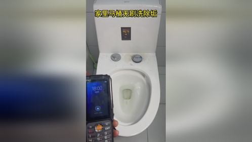 马桶里面都是黄垢草酸洗不掉实测用苦安酸无刷洗清除马桶沉年老垢