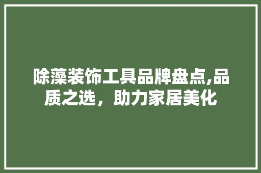 除藻装饰工具品牌盘点,品质之选，助力家居美化 客厅装修