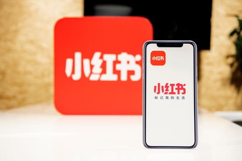 宠物生活指南,必备!