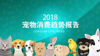 宠物生活指南,式分享