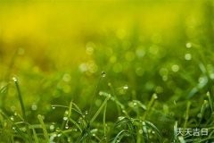 坐南朝北卫生间最佳位置选择及风水解析