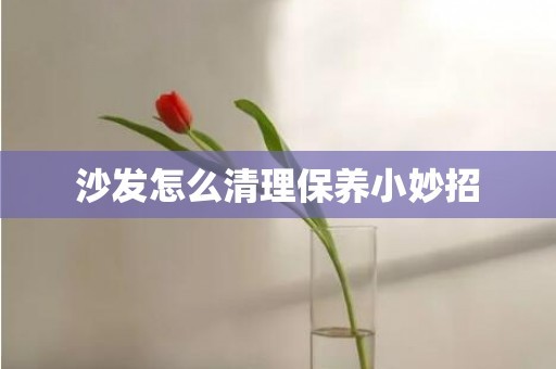 沙发怎么清理保养小妙招