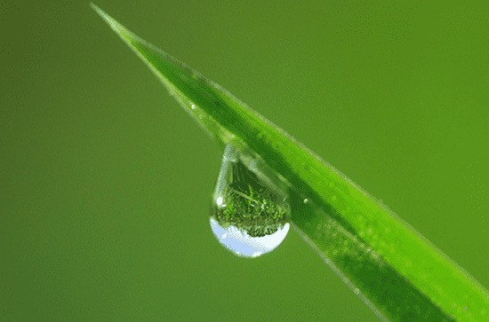 2024谷雨节气吃什么食物养生 2024谷雨养生食谱大全