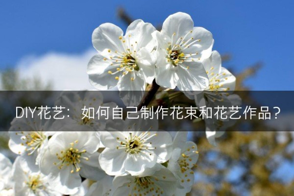 DIY花艺：如何自己制作花束和花艺作品？(图1)