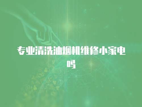 专业清洗油烟机维修小家电吗