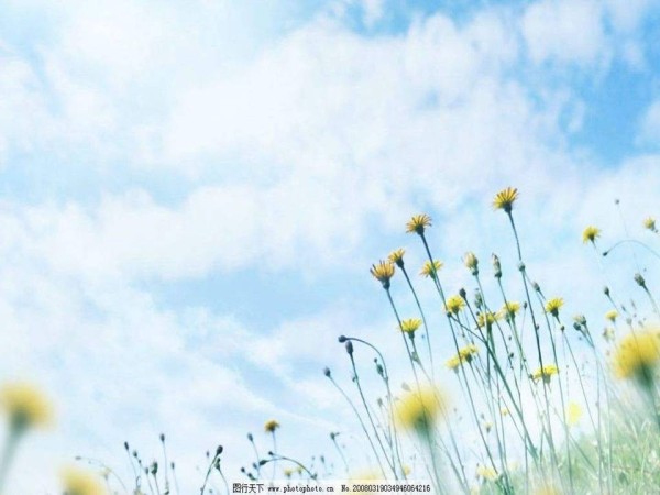 《第3课 关注社区居住环境》PPT课件(广　西县级优课).ppt