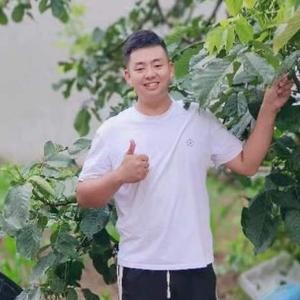 小飞的日常生活0头像