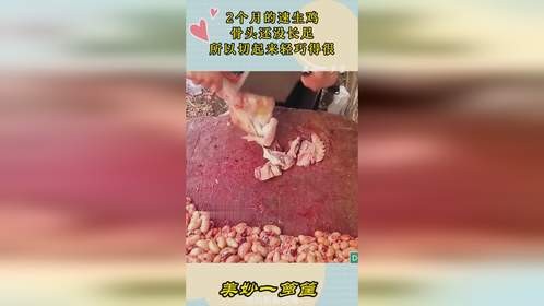 2个月的速生鸡，骨头还没长足，所以切起来轻巧得很
