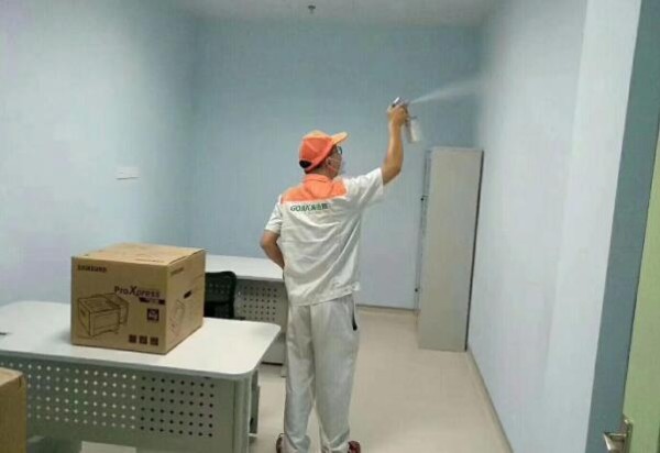 科学去甲醛的*办法