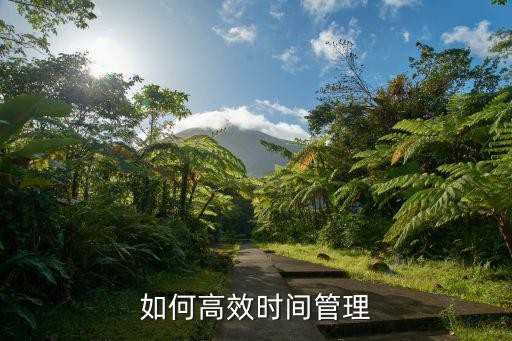 如何高效时间管理